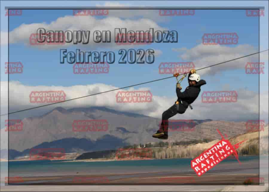 Foto 1 de Canopy
